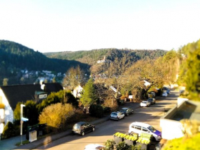 Traumblick Bad Liebenzell